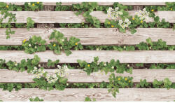 SH&D NATURAL 87020-1 vinyl tapéta