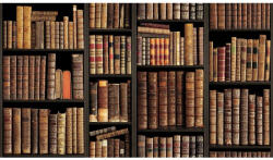 SH&D NATURAL 88418-1 vinyl tapéta