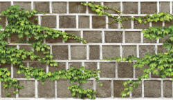 SH&D NATURAL 88428-2 vinyl tapéta