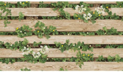 SH&D NATURAL 87020-2 vinyl tapéta