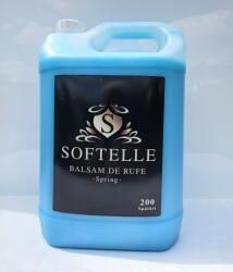 Fragrances 4 All Distrib Balsam Spring, 5 L, 200 spalari