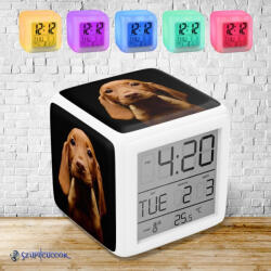 Time4Gift Kölyök Vizsla színváltós világító ébresztő óra