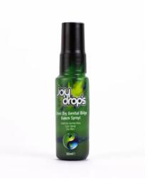 JoyDrops Spray pentru Intarzierea Ejacularii JoyDrops, 30 ml