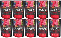 RAFI Adult beef, blueberries and cranberries 10x300 g
