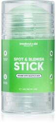 breakout + aid Spot & Blemish Stick arcmaszk agyagból a problémás bőrre 40 g