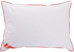 Best Sleep libatoll párna, 50x70x20 cm, 100% libatoll töltet, 100% pamut, Közepesen puha keménységű, Fehér/Piros