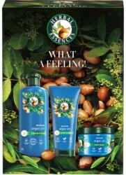 Herbal Essences Argan Oil Repair Gift Set ajándékszett a károsult hajra