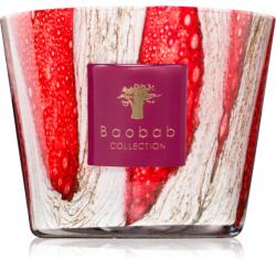 Baobab Collection Woods Risoud illatgyertya 500 g