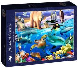 Bluebird Puzzle 1000 db-os puzzle - Oceans of Life (90235) (90235)