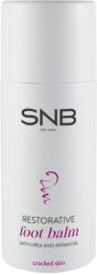 SNB Professional Balsam regenerant pentru picioare, 100 ml