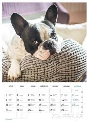 LIZZY CARD Falinaptár spirálozott LIZZY CARD B/4 álló Kutyák 2026. 21680 (21680)