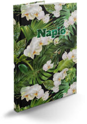 Realsystem Határidőnapló fehér lapokkal Picture B/5, napló fehér lapokkal tropikal Realsystem 2026 - delfinbuvar