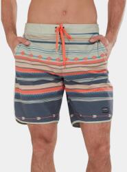 Fundango Neal Boardshorts D
