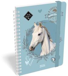 Lizzy Card Határidőnapló LIZZY CARD B/6 heti spirálozott gumis Wild beuty sport club 2026 (21586) - fotoland