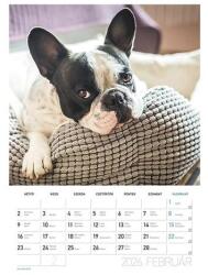 Lizzy card Falinaptár spirálozott LIZZY CARD B/4 álló Kutyák 2026 (21680) - fotoland