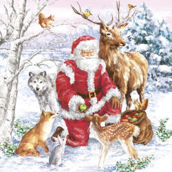 POL-MAK Karácsony Santa & Animals szalvéta 20 db-os 33x33 cm (PKK040328)