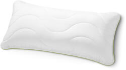 Irisette irisette® greenline párna, 80 x 40 cm