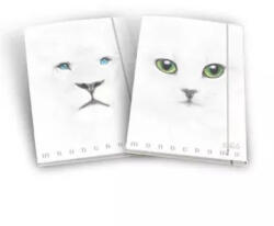 Pigna Pigna: Fehér gumis mappa állatmintával, A4 - többféle