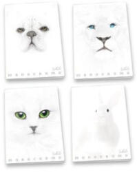 Pigna Pigna: Monocromo White vonalas füzet, A4 - többféle