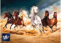 Black Sea BS82411 - Free - 1000 db-os puzzle (BS82411)