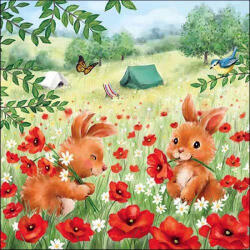 Ambiente Summer Camp Papírszalvéta 33X33cm, 20db-os - fizz