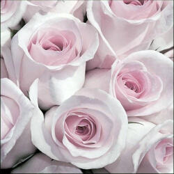 Ambiente Abby Vintage Papírszalvéta 33X33cm, 20db-os