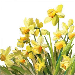 Ambiente golden Daffodils Papírszalvéta 33X33cm, 20db-os