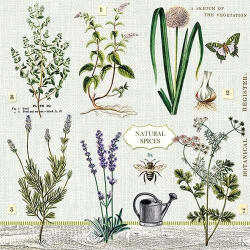 Ambiente Herbs garden Papírszalvéta 33X33cm, 20db-os - fizz