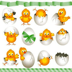 Ambiente Funny Chickens Papírszalvéta 33X33cm, 20db-os