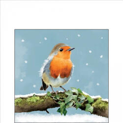 Ambiente Robin On Branch Papírszalvéta 25X25cm, 20db-os - fizz