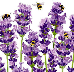 PPD Bees & Lavender Papírszalvéta 33X33cm, 20db-os