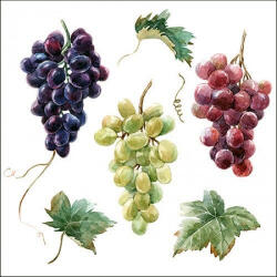 Ambiente Wine grapes Papírszalvéta 33X33cm, 20db-os - fizz
