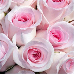 Ambiente Abby Papírszalvéta 33X33cm, 20db-os