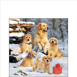 Ambiente golden Retriever Puppiees Papírszalvéta 25X25cm, 20db-os - fizz