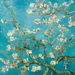Ambiente Almond Blossom Papírszalvéta 33X33cm, 20 db-os - fizz