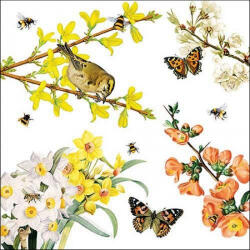 Ambiente Spring Awakening Papírszalvéta 33X33cm, 20db-os