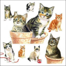 Ambiente Cute Kittens Papírszalvéta 33X33cm, 20db-os - fizz