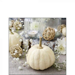 Ambiente Modern Pumpkin Papírszalvéta 25X25cm, 20db-os