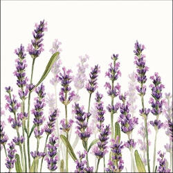Ambiente Lavender Shade White Papírszalvéta 33X33cm, 20db-os