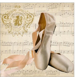 PPD Concerto Ballet Papírszalvéta 25X25cm, 20db-os - fizz