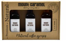 Mount Caramel - Syrup Set 3 x 100ml - Gingerbread - Salted Caramel - Vanilla (cfd-2302010002)