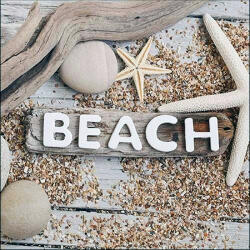 Ambiente Beach Wood Papírszalvéta 33X33cm, 20db-os - fizz