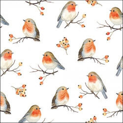 Ambiente Robin Family Papírszalvéta 33X33cm, 20db-os