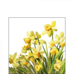 Ambiente golden Daffodils Papírszalvéta 25X25cm, 20db-os