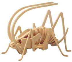 Wooden Toy / Wck JUCĂRIE DIN LEMN, puzzle 3D WCK Greier