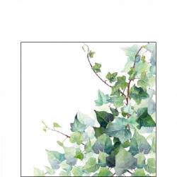 Ambiente Hedera White Papírszalvéta 25X25cm, 20db-os - fizz