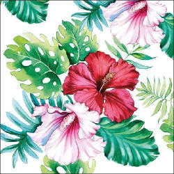Ambiente Hibiscus Floral White Papírszalvéta 33X33cm, 20db-os