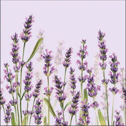 Ambiente Lavender Shade Lila Papírszalvéta 33X33cm, 20db-os