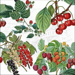 Ambiente Fresh Fruits Papírszalvéta 33X33cm, 20db-os - fizz