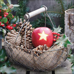 Ambiente Star Apple Papírszalvéta 33X33cm, 20db-os - fizz